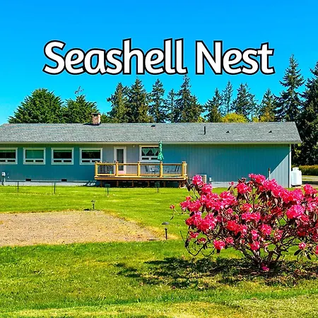 Villa Sq Seashells Nest